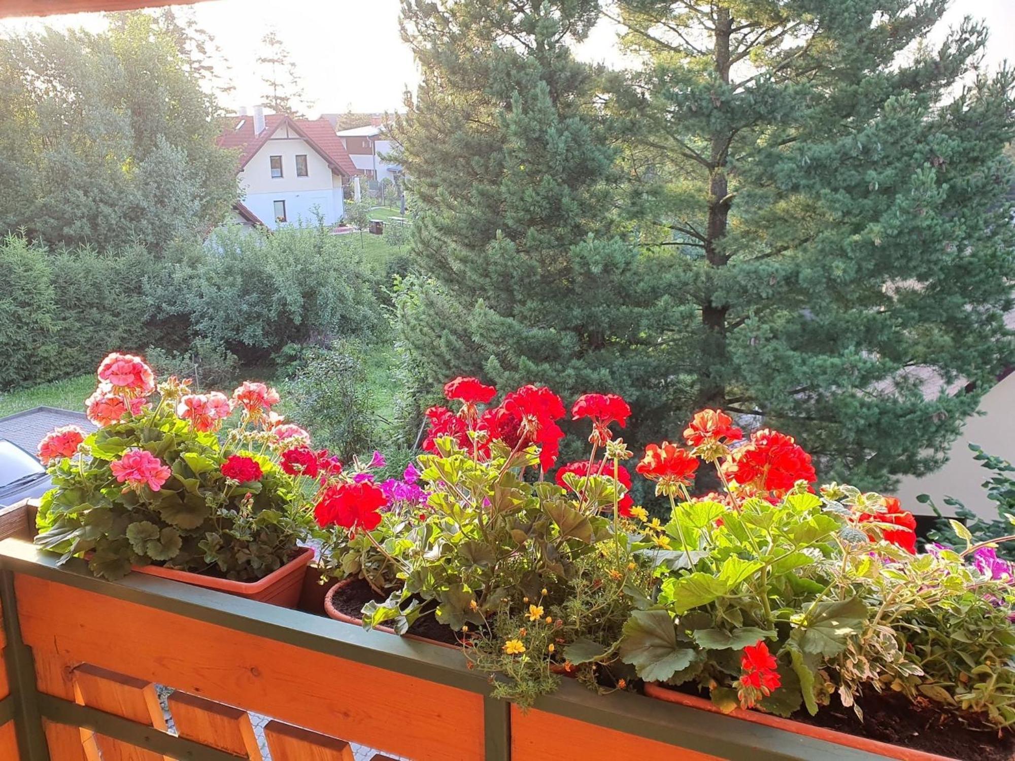 Chalet Chata Tereza By Interhome Стара-Лесна Экстерьер фото